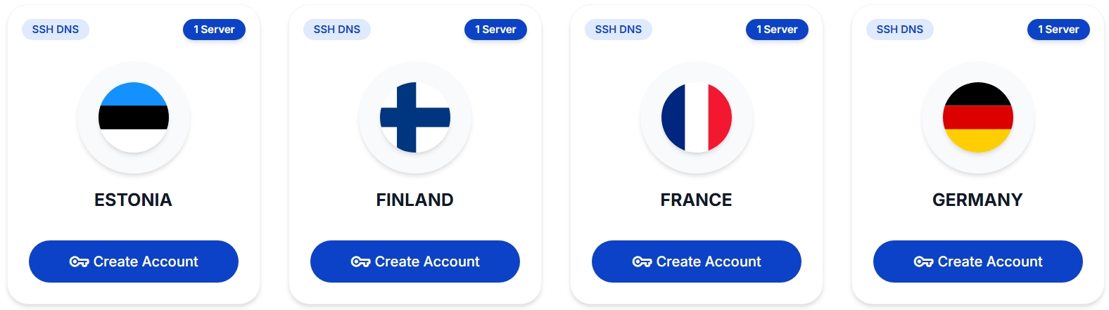 SSHocean DNS Page
